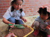 img0041.jpg