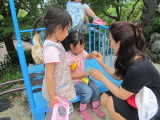 img0047.jpg