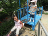 img0051.jpg