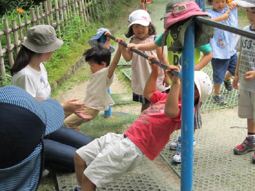 img0065.jpg