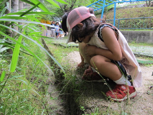 img0069.jpg