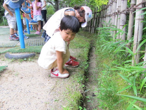 img0070.jpg