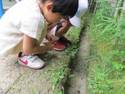 img0072.jpg