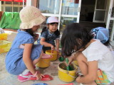 img0029.jpg
