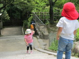 img0034.jpg