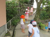 img0036.jpg