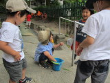 img0037.jpg