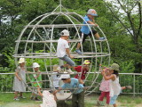 img0043.jpg