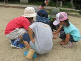 img0044.jpg