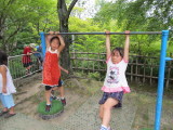 img0050.jpg