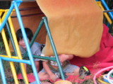 img0060.jpg