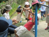 img0065.jpg