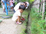 img0070.jpg