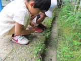 img0072.jpg