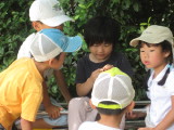 img0079.jpg