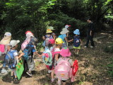 img0090.jpg