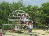 img0091.jpg