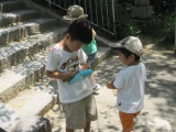 img0094.jpg