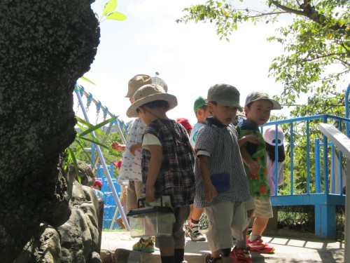 img0000.jpg