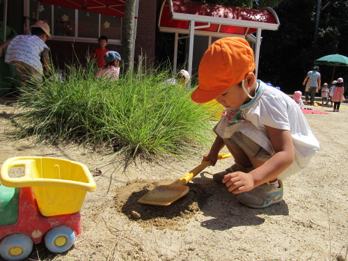 img0005.jpg