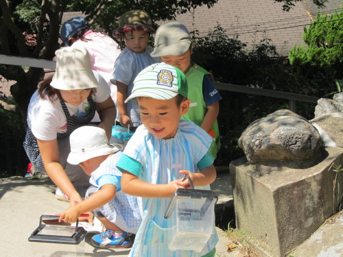 img0009.jpg