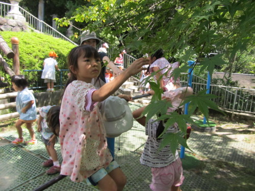 img0027.jpg