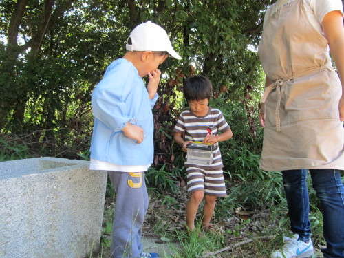 img0047.jpg