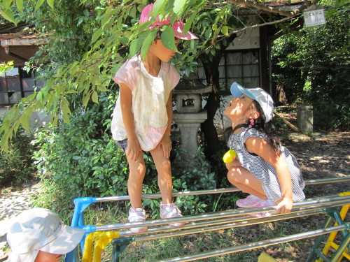 img0074.jpg