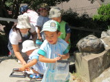 img0009.jpg
