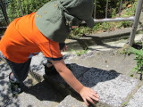 img0011.jpg