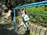 img0015.jpg