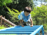 img0018.jpg