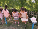 img0025.jpg