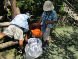 img0028.jpg