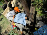img0029.jpg