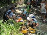 img0034.jpg