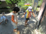 img0037.jpg