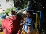 img0049.jpg