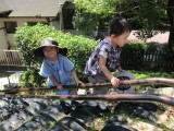 img0054.jpg