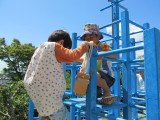 img0061.jpg