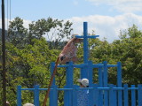 img0063.jpg