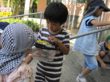 img0064.jpg