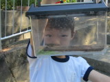 img0065.jpg