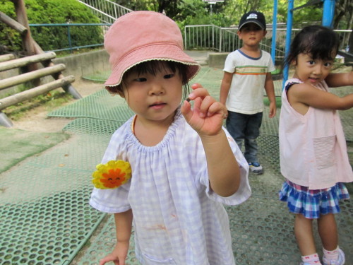 img0013.jpg