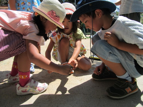 img0024.jpg