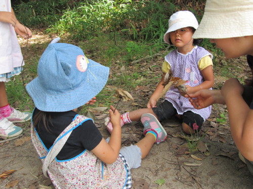 img0034.jpg