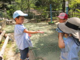 img0001.jpg