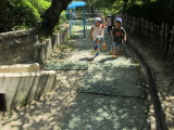 img0003.jpg