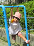 img0009.jpg