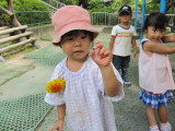 img0013.jpg